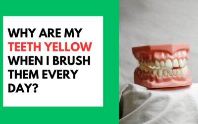 Why My Teeth Yellow When I Brush Them Daily