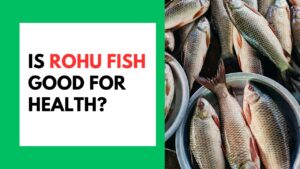 Is Rohu Fish Good for Health