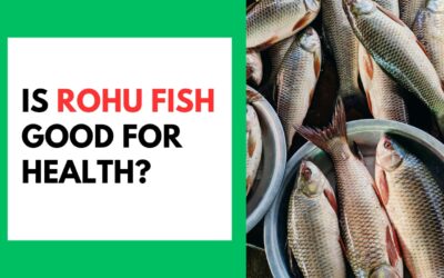 Is Rohu Fish Good for Health? Is Rohu Fish Good for Health