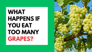 What Happen If You Eat Too Many Grapes