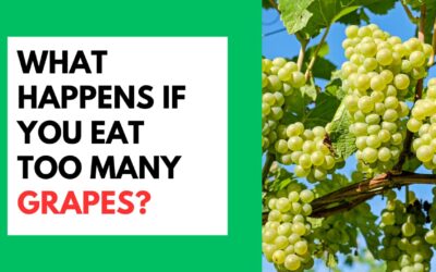 What Happen If You Eat Too Many Grapes