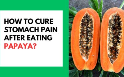 How to Cure Stomach Pain After Eating Papaya