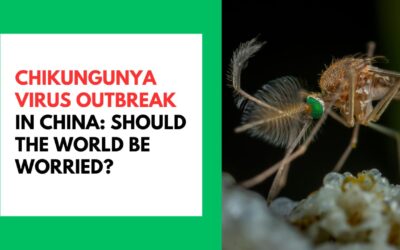 Chikungunya Virus Outbreak in China: Should the World Be Worried? Chikungunya Virus Outbreak in China: Should the World Be Worried
