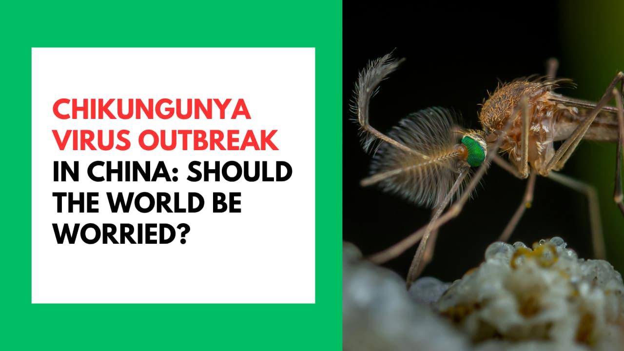 Chikungunya Virus Outbreak in China: Should the World Be Worried